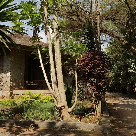 Abay Minch Lodge Bahir Dar Buitenkant foto