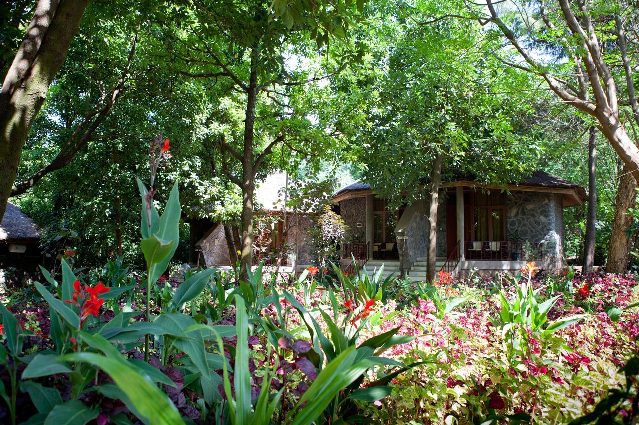 Abay Minch Lodge Bahir Dar Buitenkant foto