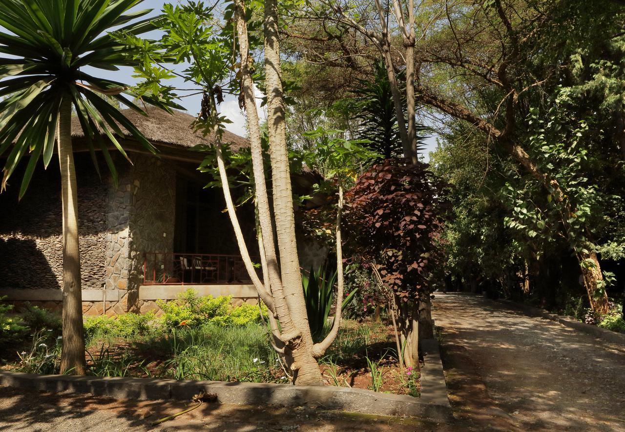 Abay Minch Lodge Bahir Dar Buitenkant foto