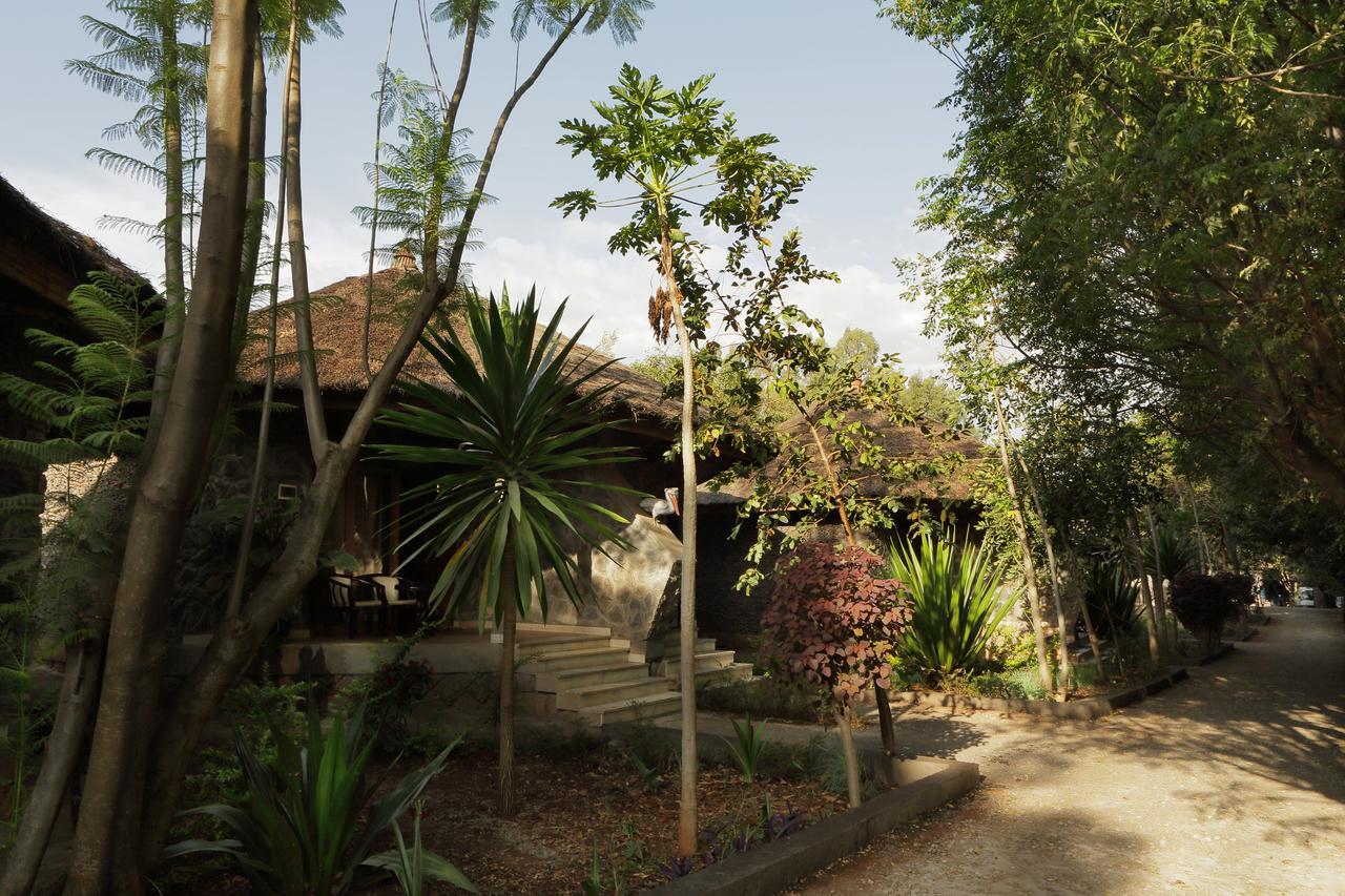 Abay Minch Lodge Bahir Dar Buitenkant foto
