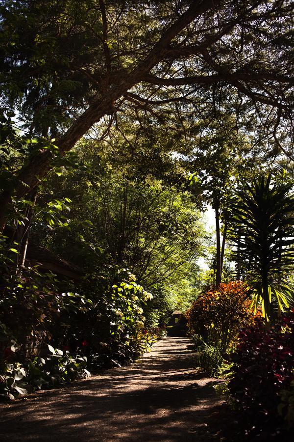 Abay Minch Lodge Bahir Dar Buitenkant foto