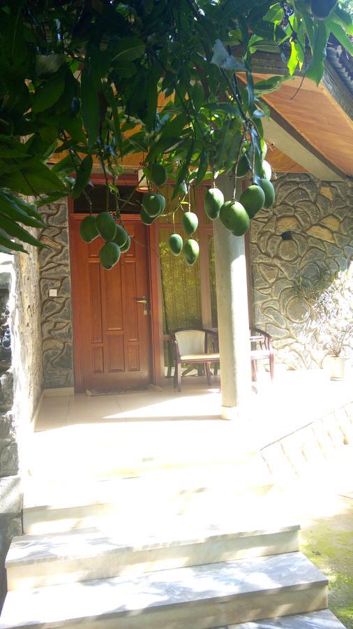 Abay Minch Lodge Bahir Dar Buitenkant foto