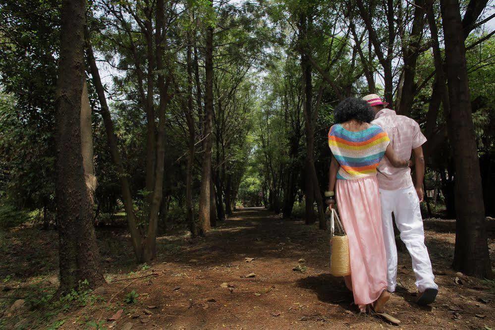 Abay Minch Lodge Bahir Dar Buitenkant foto
